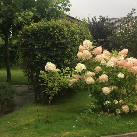 Bergen Holiday Home สโคร์ล ภายนอก รูปภาพ