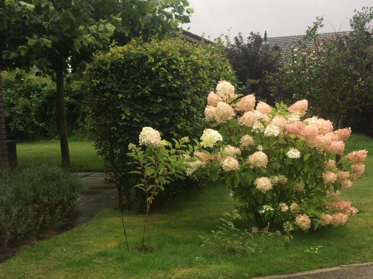 Bergen Holiday Home สโคร์ล ภายนอก รูปภาพ