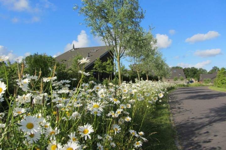 Bergen Holiday Home สโคร์ล ภายนอก รูปภาพ